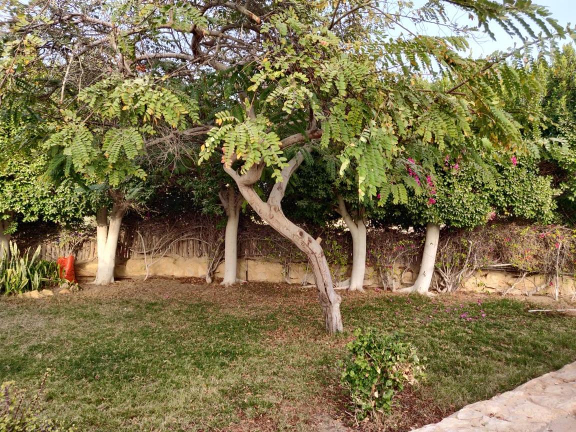 Tunis Lake View ‘Izbat an Nāmūs Kültér fotó
